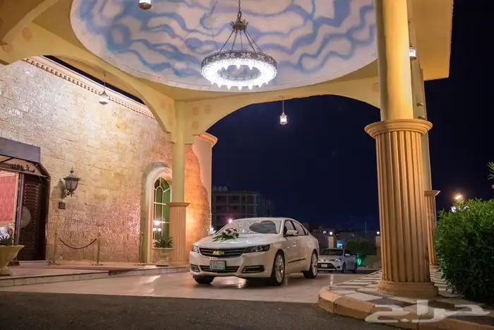 مصورين المدينة 8