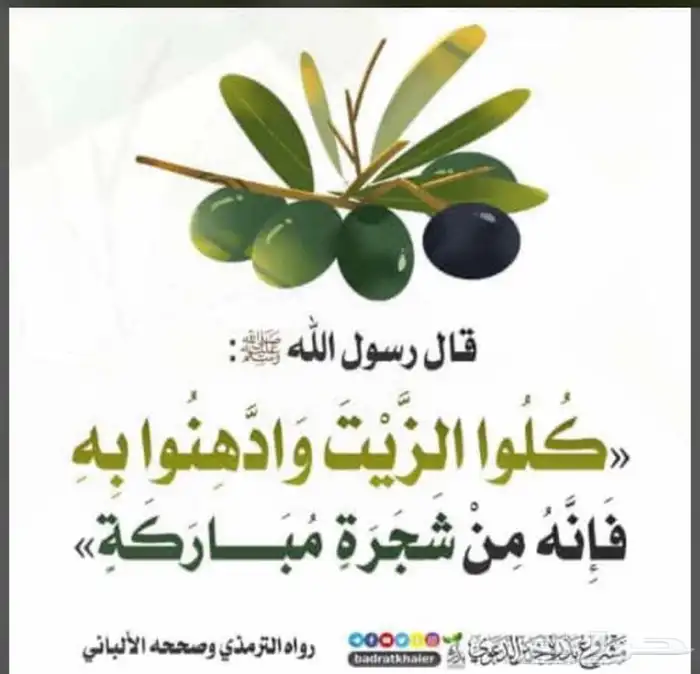زيت زيتون الجوف 1445 2