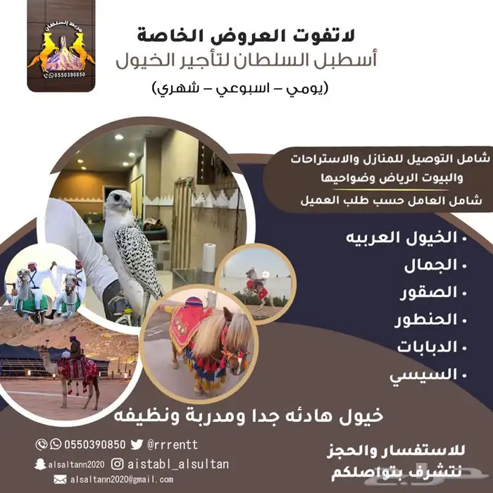 خيول وجمال ايجار 0