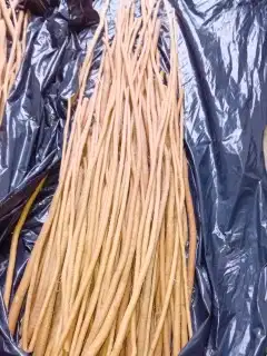 مساويك مسواك الاراك البلدي الحار من يريد توزيع احياء السنه 0