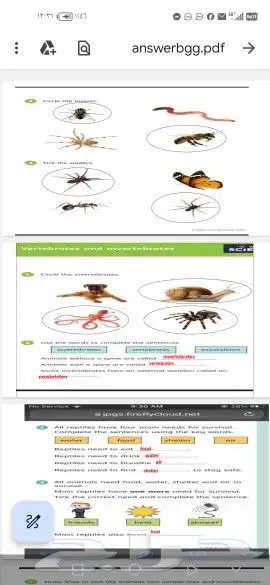 مدرس تأسيس انجليزي الواحه 4