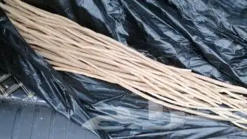 مساويك مسواك الاراك البلدي الحار من يريد توزيع احياء السنه 2