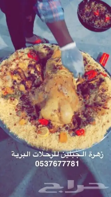 تجهيز مخيمات للرحلات البرية في حائل رفحاء لينه وعمال ضيافة 15