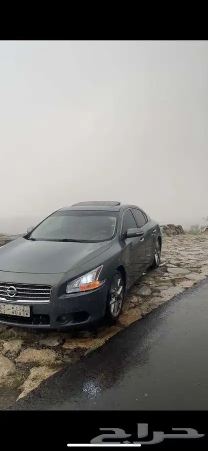 مكسيما 2010 للبيع اقبل البدل 0