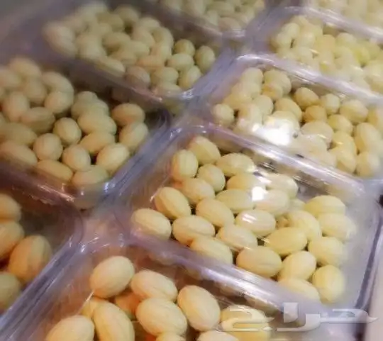 حلا جوزيه(عين الجمل ) 2