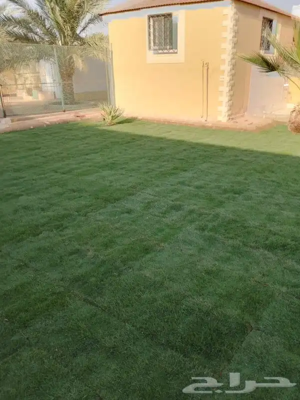 تنسيق حدائق القصيم بريده 0