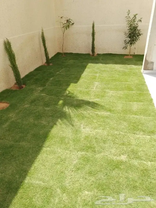 تنسيق حدائق القصيم بريده 7