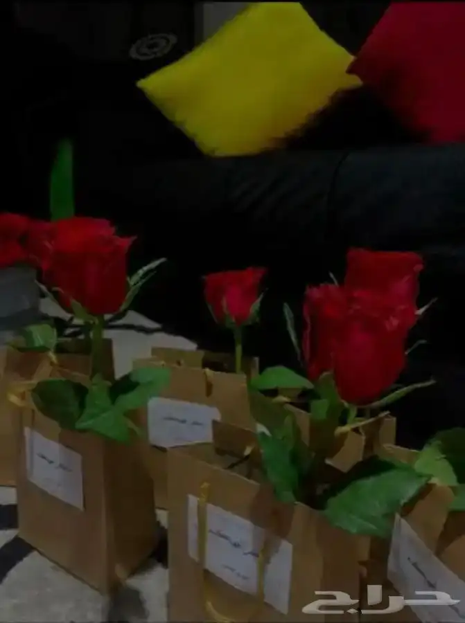 تنسيق بالونات لجميع المناسبات والافتتاحات 18