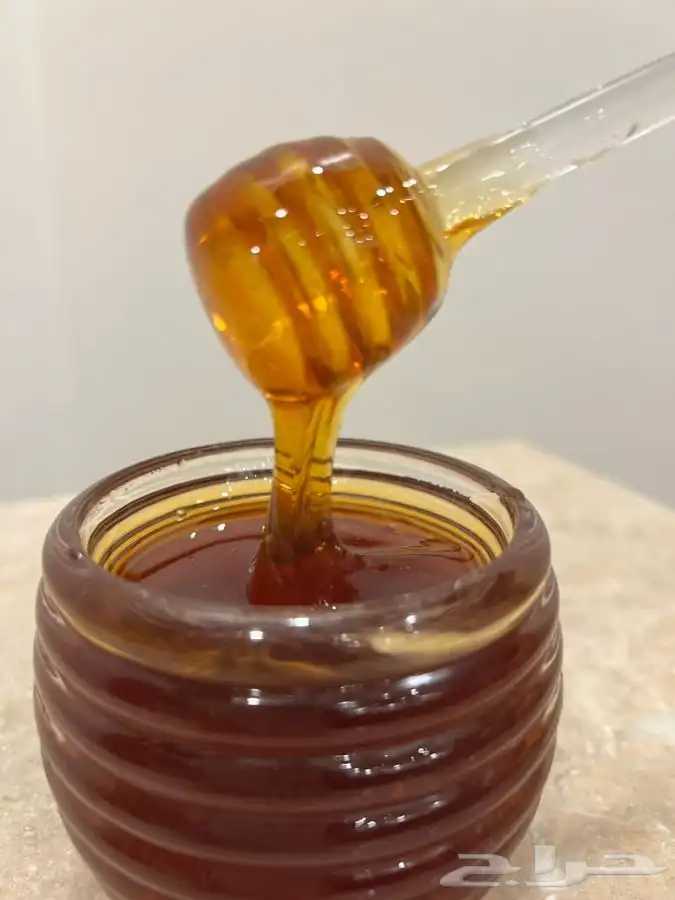 عسل الطلح البلدي مضمون ذمة وامانه 0