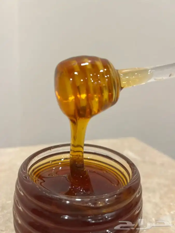 عسل الطلح البلدي مضمون ذمة وامانه 1