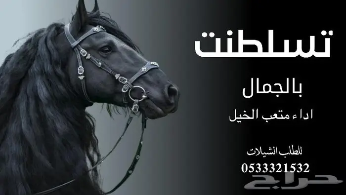 منشد شيلات شاعر جزل 0