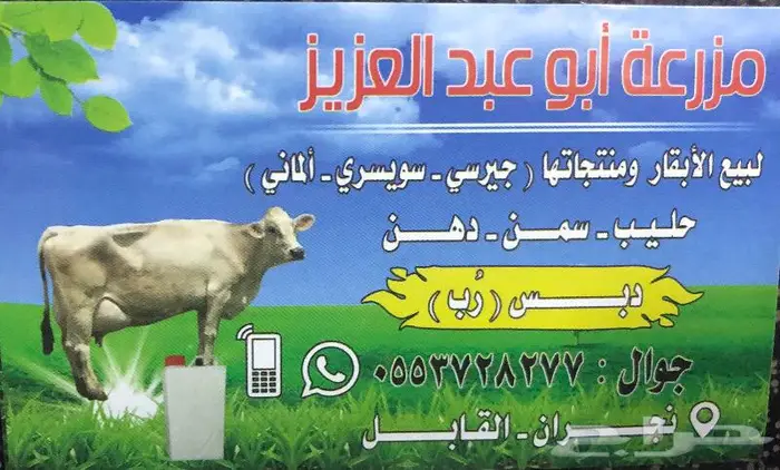 حليب بقرة 2