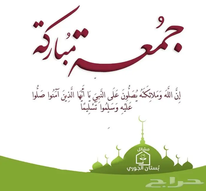 نجيلة ثيل سي الفين 8