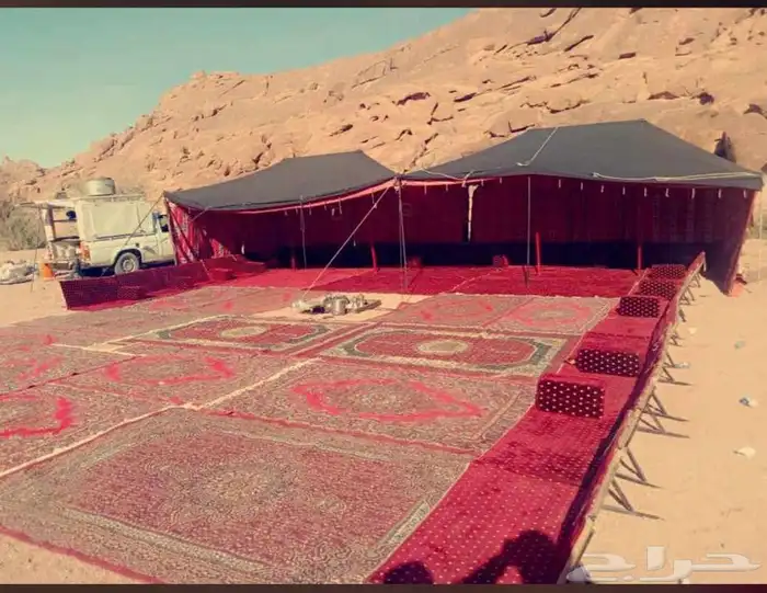 تجهيز مخيمات للرحلات البرية في حائل رفحاء لينه وعمال ضيافة 14