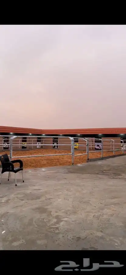 عسف خيل إيواء للخيول العربية الاصيله  1