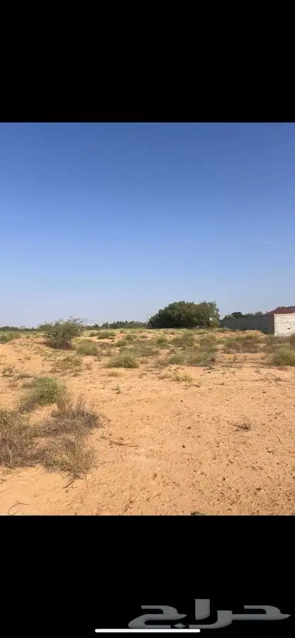 1000متر جنوب ابوعريش 3