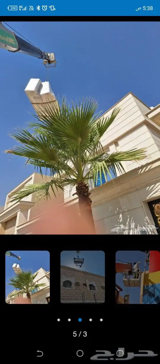 رافعه كرين ونش ايجار 5