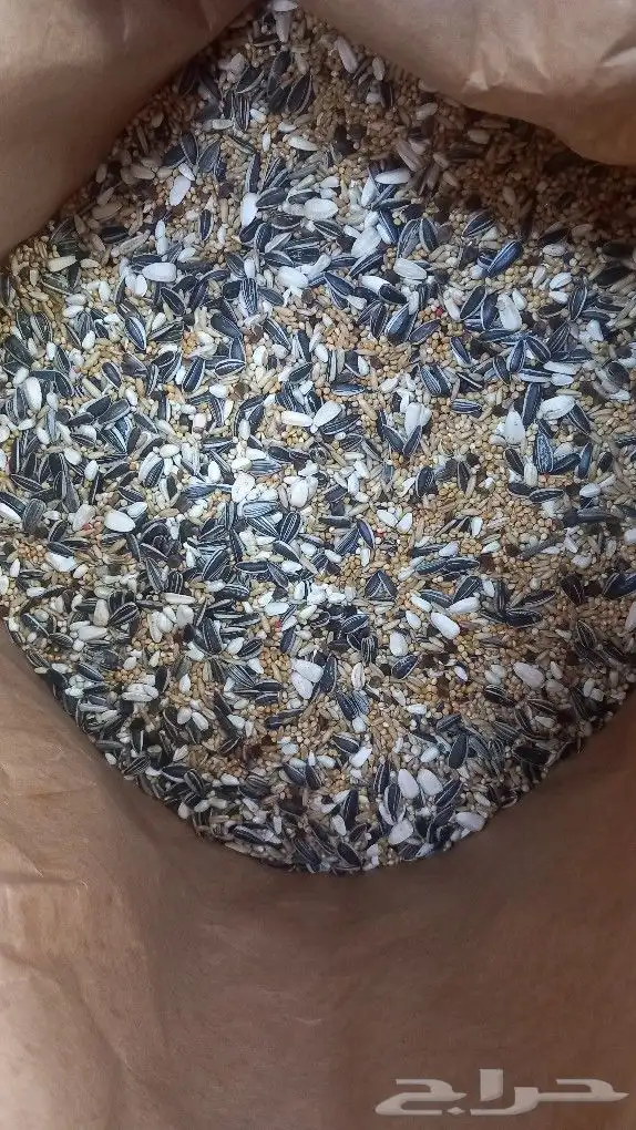 تم وصول اكل كروان وروز فرسلاقا بدون فتيمينان لطيور البينو 0