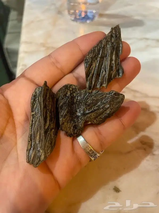 بخور عود كلمنتان سومطري 3