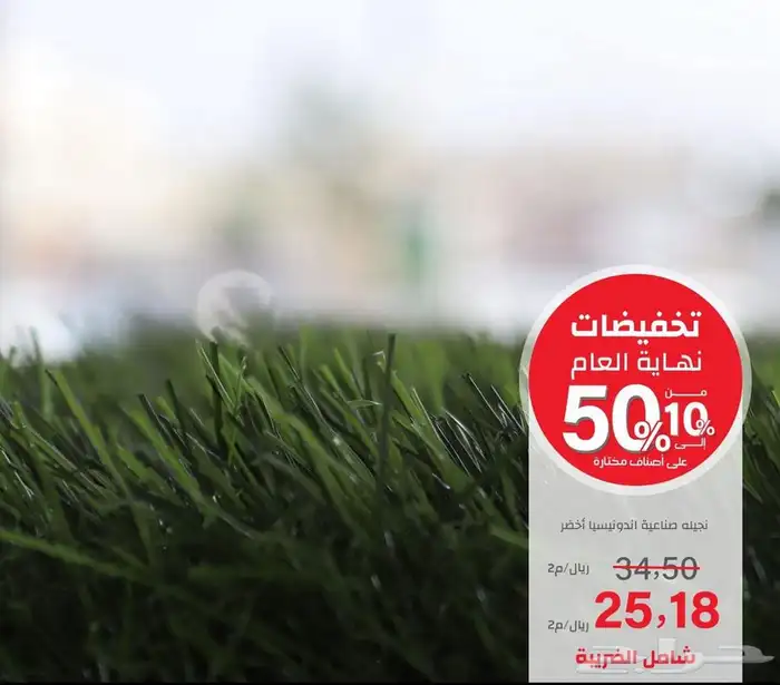 عشب باقل الاسعار 2