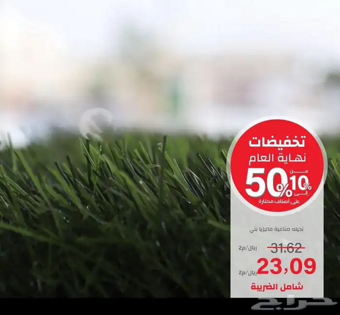 عشب باقل الاسعار 1