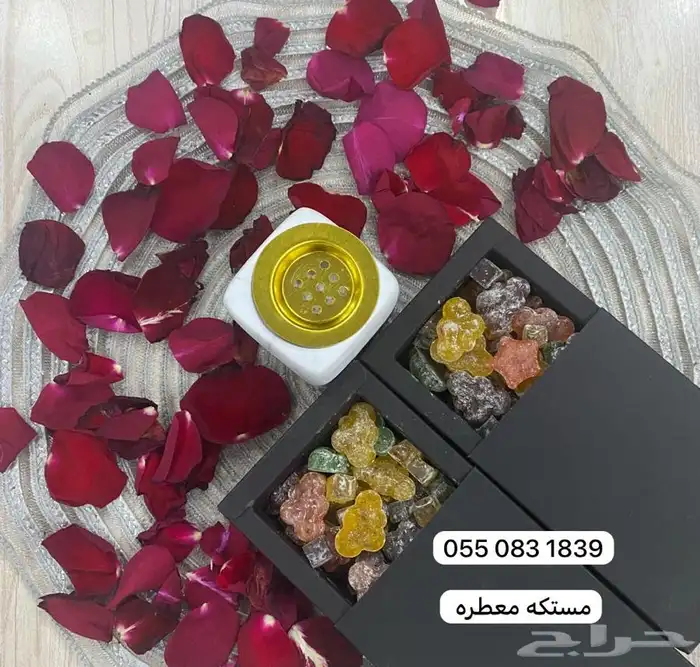 محارم تركيه وبوكسات صلاة 24