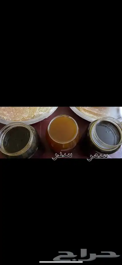 عسل شوكه وسدر وطلح وسمر وخلطات عسل ضمان ذهبي يوجد جمله 7