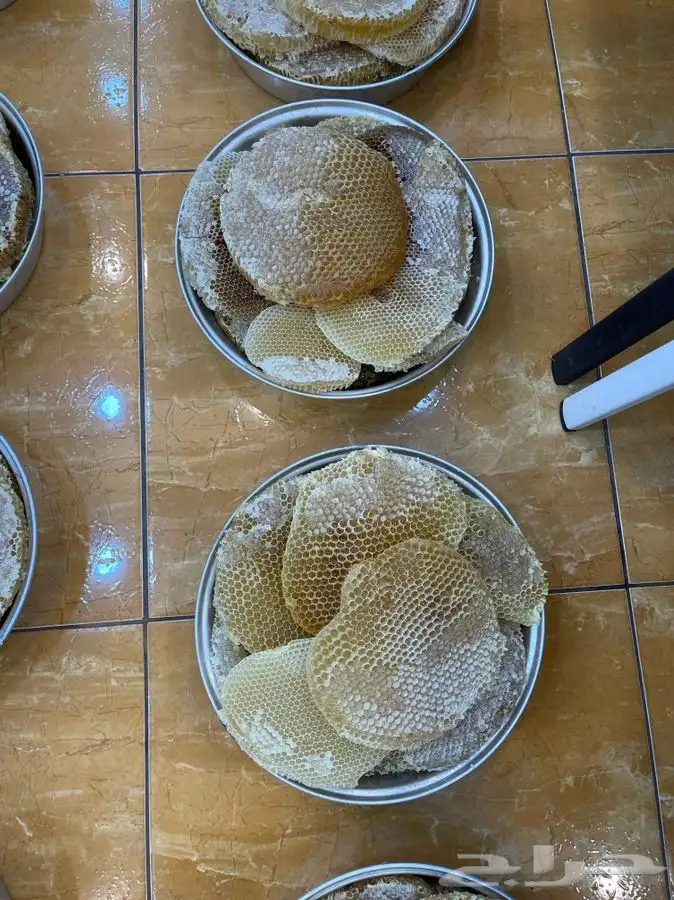 عسل شوكه وسدر وطلح وسمر وخلطات عسل ضمان ذهبي يوجد جمله 4