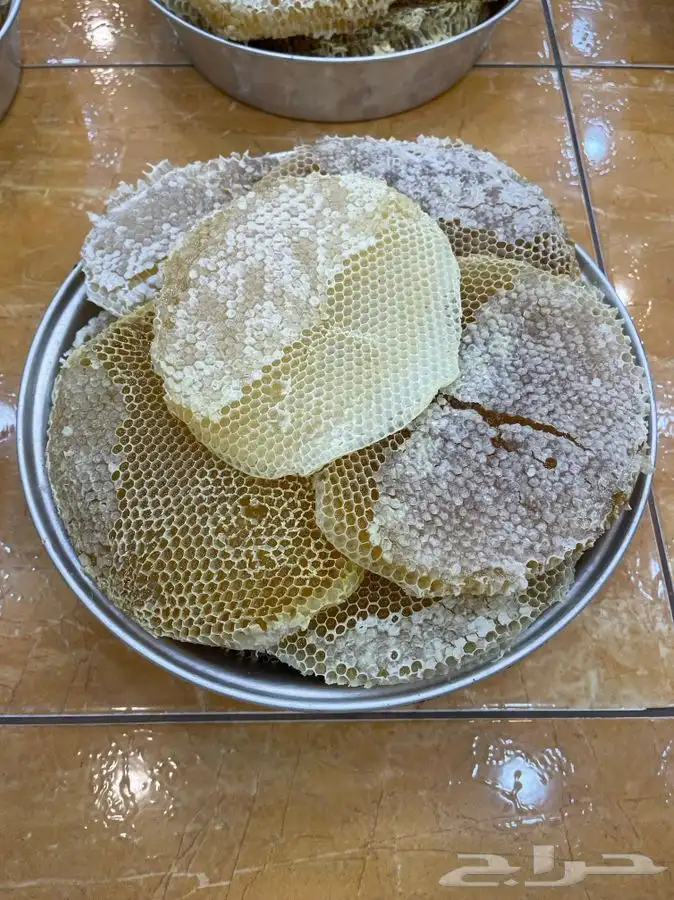 عسل شوكه وسدر وطلح وسمر وخلطات عسل ضمان ذهبي يوجد جمله 1