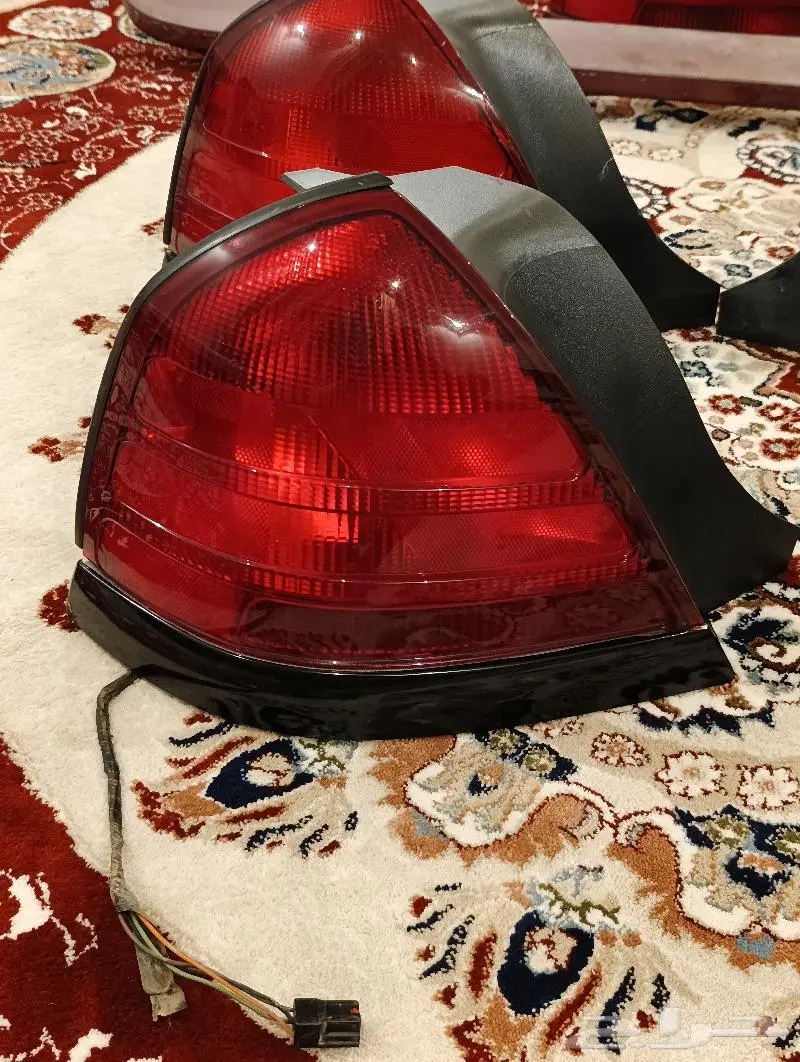 اسطبات فكتوريا خلفي 5