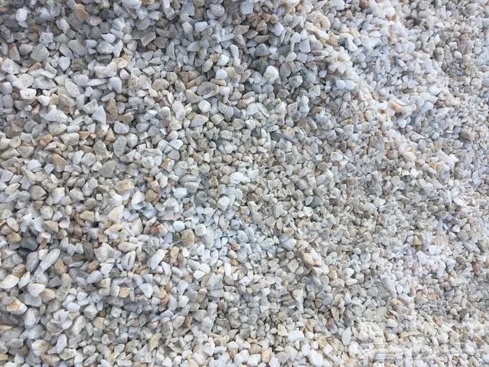 خرسان ابيض 6