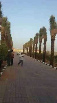 نحن مؤسسة مقاولات عامه 1الشبوك بجميع انواعها ومواصفات العالي 8