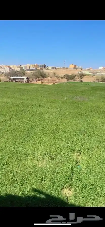 للبيع سويقة بلدي 2