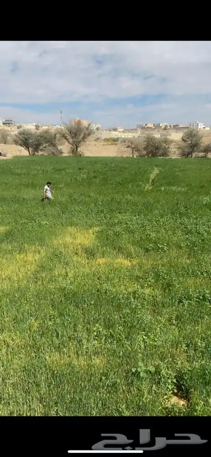 للبيع سويقة بلدي 3
