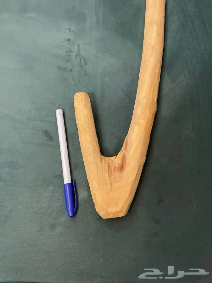 مشعاب عريض( هايكنج) كبارالسن . 3