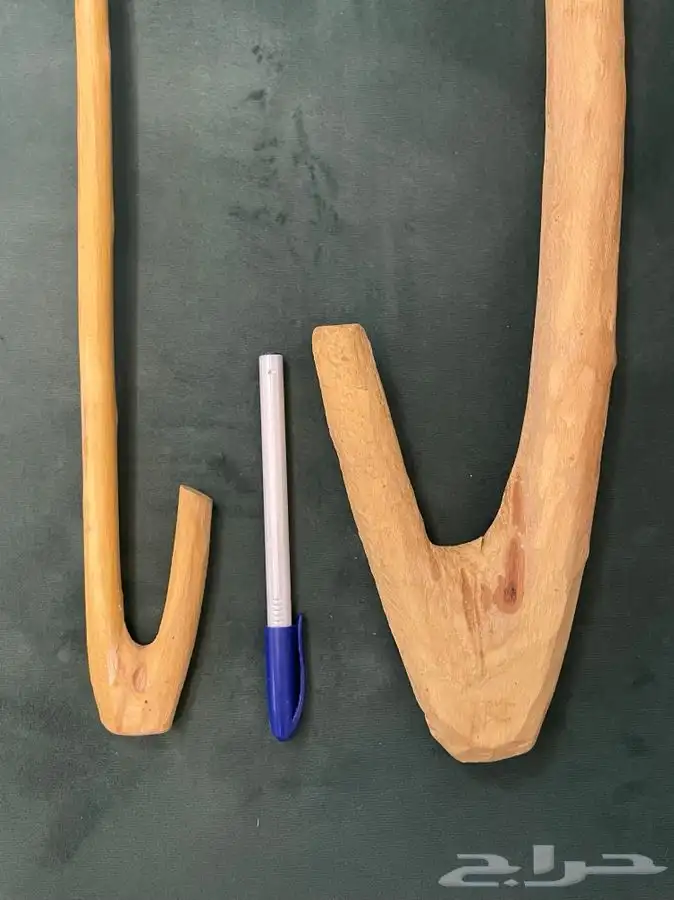 مشعاب عريض( هايكنج) كبارالسن . 0
