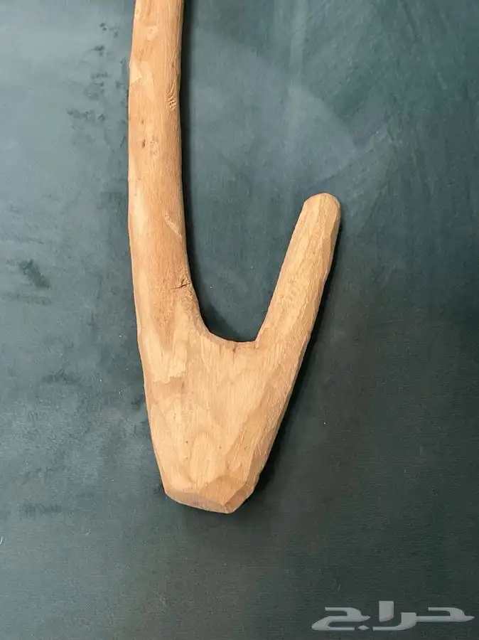مشعاب عريض( هايكنج) كبارالسن . 4