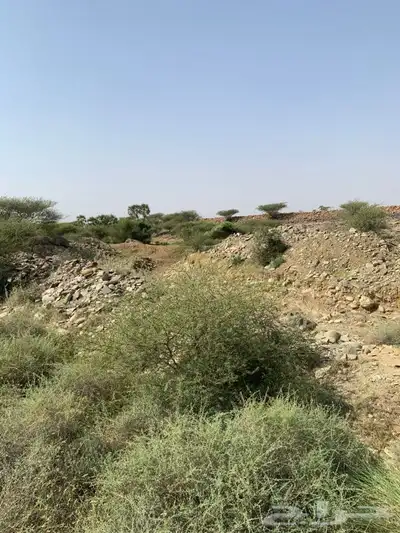يوجد عندي مساحات للاستثمار في الفطيحه وللبيع  . 0