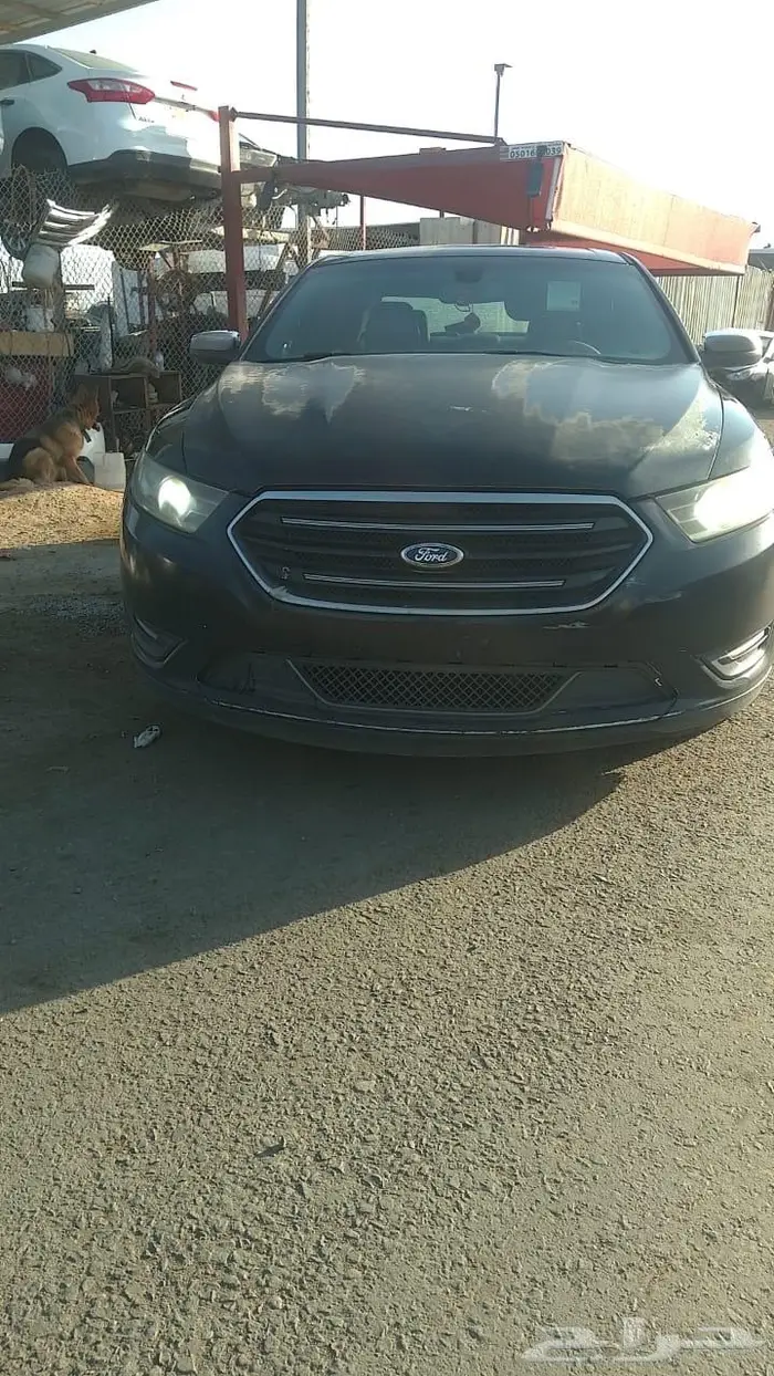 تورس2013 تلميد 4