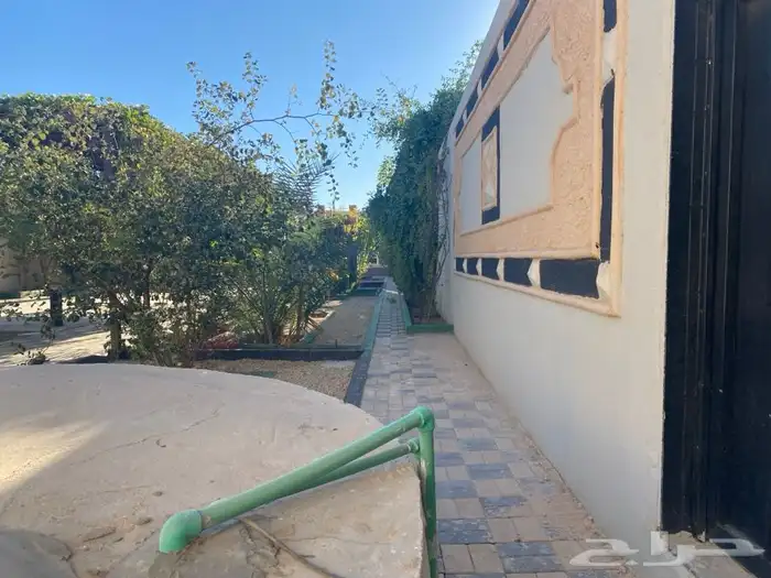 شاليهات الدانه  السيباني 1