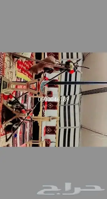 تأجير حفلات والمناسبات وكراسي وطاولات وجميع ترثيات وخيام 3