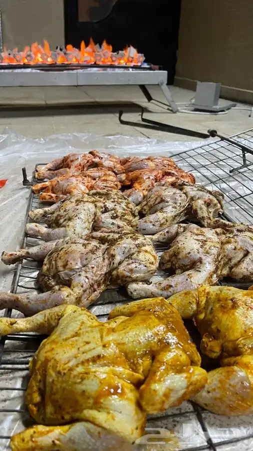 شواية دوان كهرب على الغاز والفحم 18