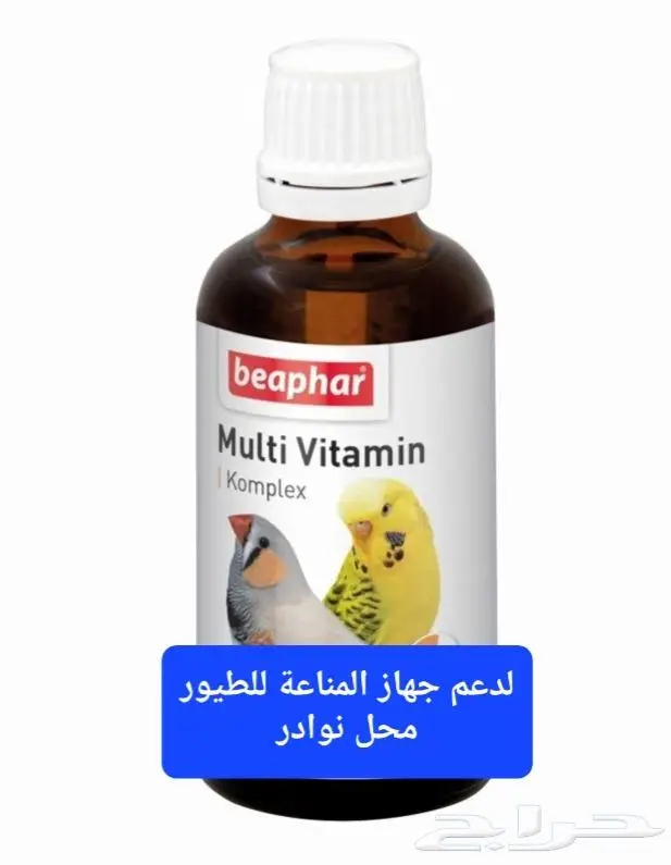 سرلاك طيور زينة واعلاف طيور ومستلزماتها 39