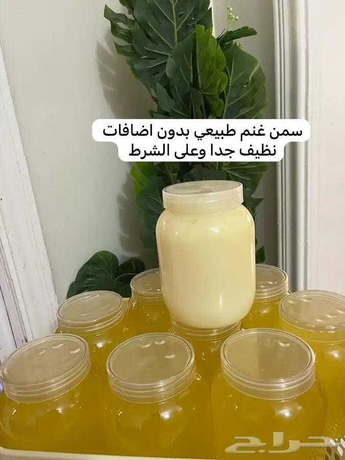 سمن غنم طبيعي بدون اضافات وعلى الشرط 0