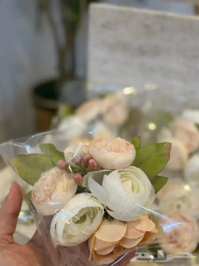 تنسيق دبش 5
