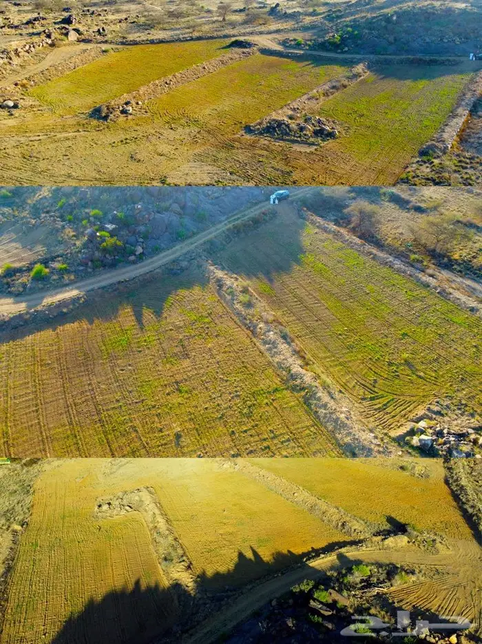 مصور محترف الرياض المزاحمية الخرج الدلم الدرعية الدمام 2