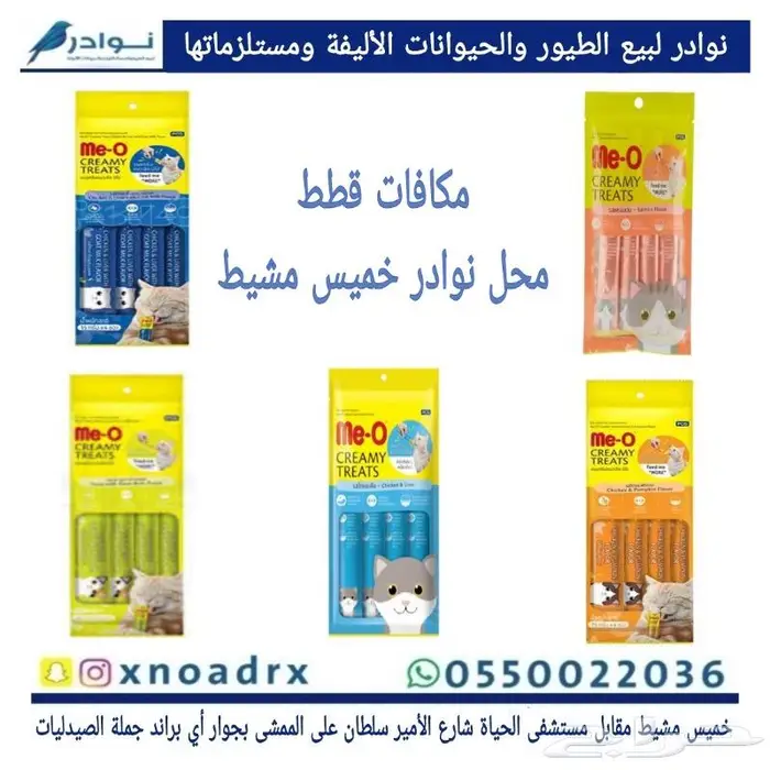داري فود قطط وحيوانات اليفه 21