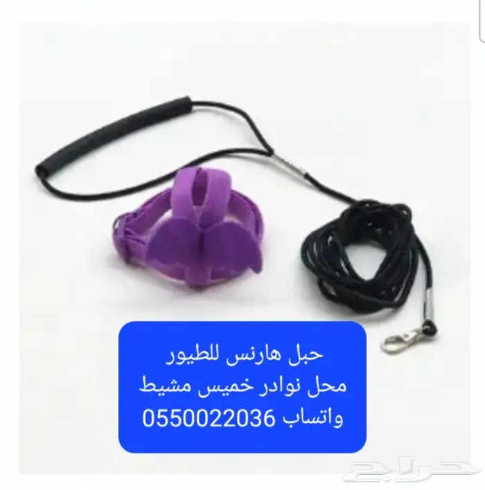 سرلاك طيور زينة واعلاف طيور ومستلزماتها 21