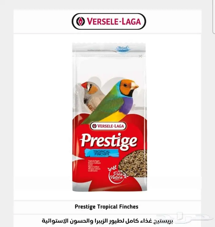 سرلاك طيور زينة واعلاف طيور ومستلزماتها 3
