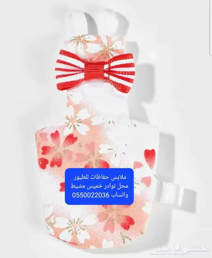 سرلاك طيور زينة واعلاف طيور ومستلزماتها 23